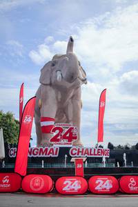 BIB: 
                            <button type="button" onclick="openModal(26527971)" class="btn btn-primary btn-sm float-right btn-popup" data-toggle="modal" data-target=".modal-high-quality">
                        <i class="fas fa-shopping-cart"></i> Add to Cart
                    </button>
                                            <button type="button" onclick="isThisMe(26527971, true)" class="btn btn-success btn-sm float-right btn-popup btn-isme hidden" data-toggle="tooltip" data-placement="bottom" title="นี่คือรูปของคุณใช่ไหม คลิกที่นี่เพื่อเอาเข้าอัลบั้ม">
                        <i class="fas fa-plus"></i> Add to album
                    </button>
                    <button type="button" onclick="isThisMe(26527971, false)" class="btn btn-warning btn-sm float-right btn-popup btn-isnotme hidden">
                        <i class="fas fa-ban"></i> Remove from album
                    </button>